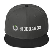 Snapback Hat BB whitelogo